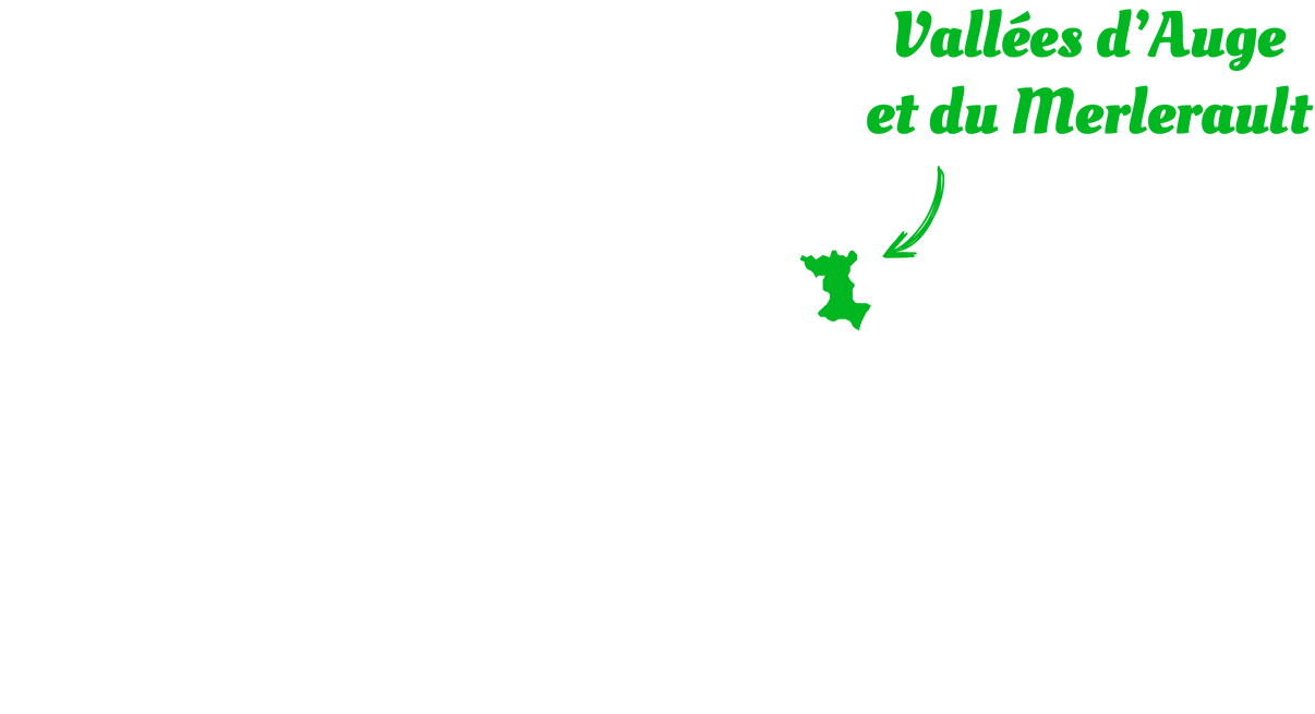 Nous situer
